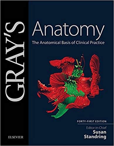 Gray’s Anatomy: The Anatomical Basis of Clinical Practice (41st Edition) – eBook PDF