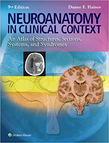 Neuroanatomy in Clinical Context (9th Edition) – eBook PDF