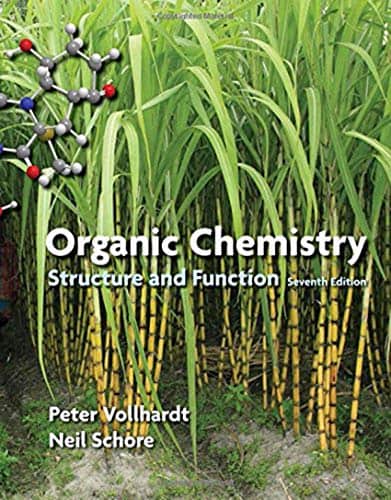 Organic Chemistry: Structure and Function (7th edition) – eBook PDF