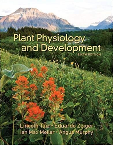 Plant Physiology and Development (6th Edition) – eBook PDF