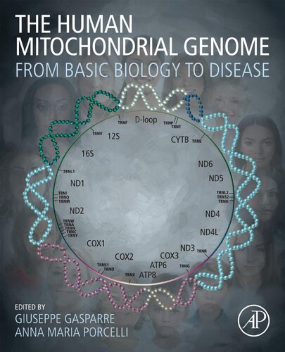 The Human Mitochondrial Genome: From Basic Biology to Disease – eBook