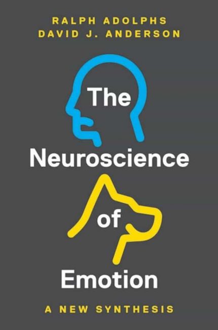 The Neuroscience of Emotion: A New Synthesis – eBook PDF